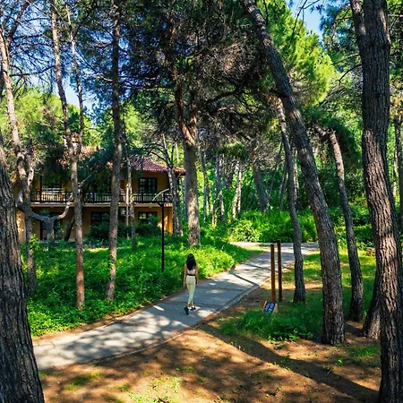 Asteria Family Belek 5* Antalya